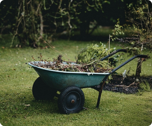 A wheelbarrow filled with yard debris