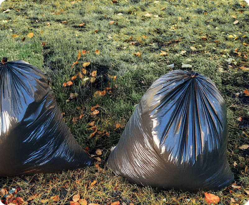 Two bags of yard debris ready for junk removal pickup by EasyGig