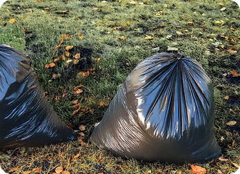 Yard debris bagged and ready for junk removal pickup