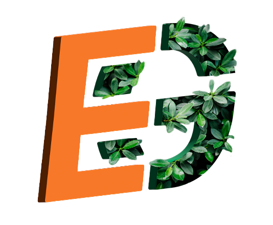 Eco-friendly junk removal with responsible waste disposal and recycling when available